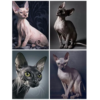 Hairless Cat Jewel Cross Stitch Sphynx Painting Diy for Adult Handmade Arts and Crafts Animals Paint Embroidery Diamond